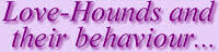 4. Love-Hounds and their behaviour...