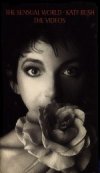 The Sensual World video box
