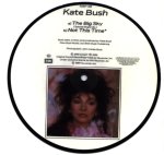 7" picture disc-B